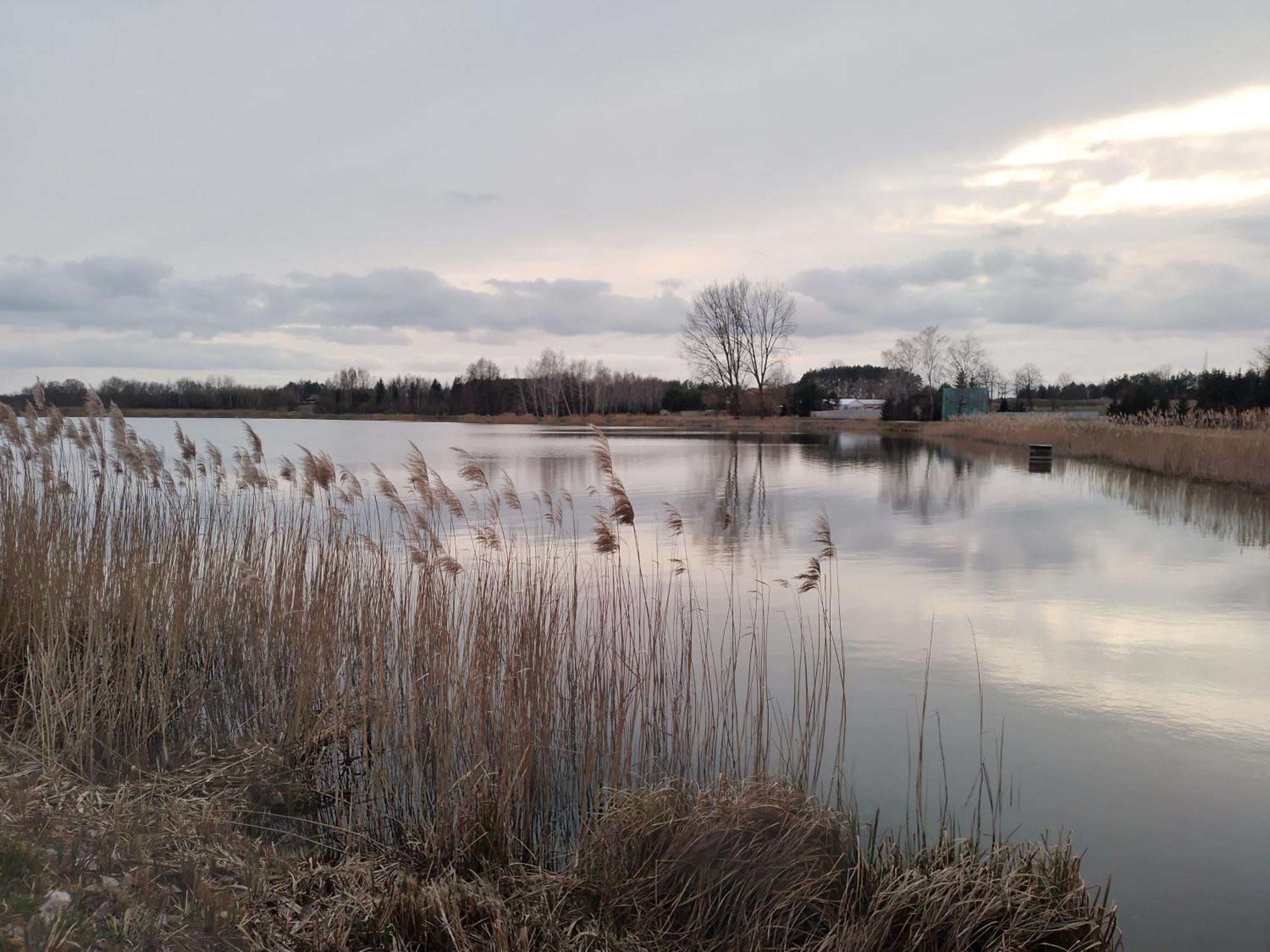 Domek Nad Zalewem Janów Podlaski Eksteriør billede